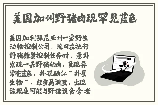 眼镜妹反差吃瓜51推特